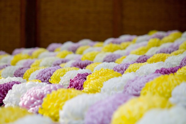 サンプルイメージ